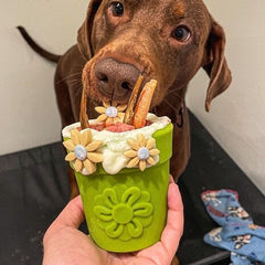 Pot de fleur vert sodapup