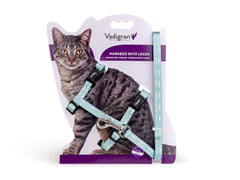 Harnais + laisse chat