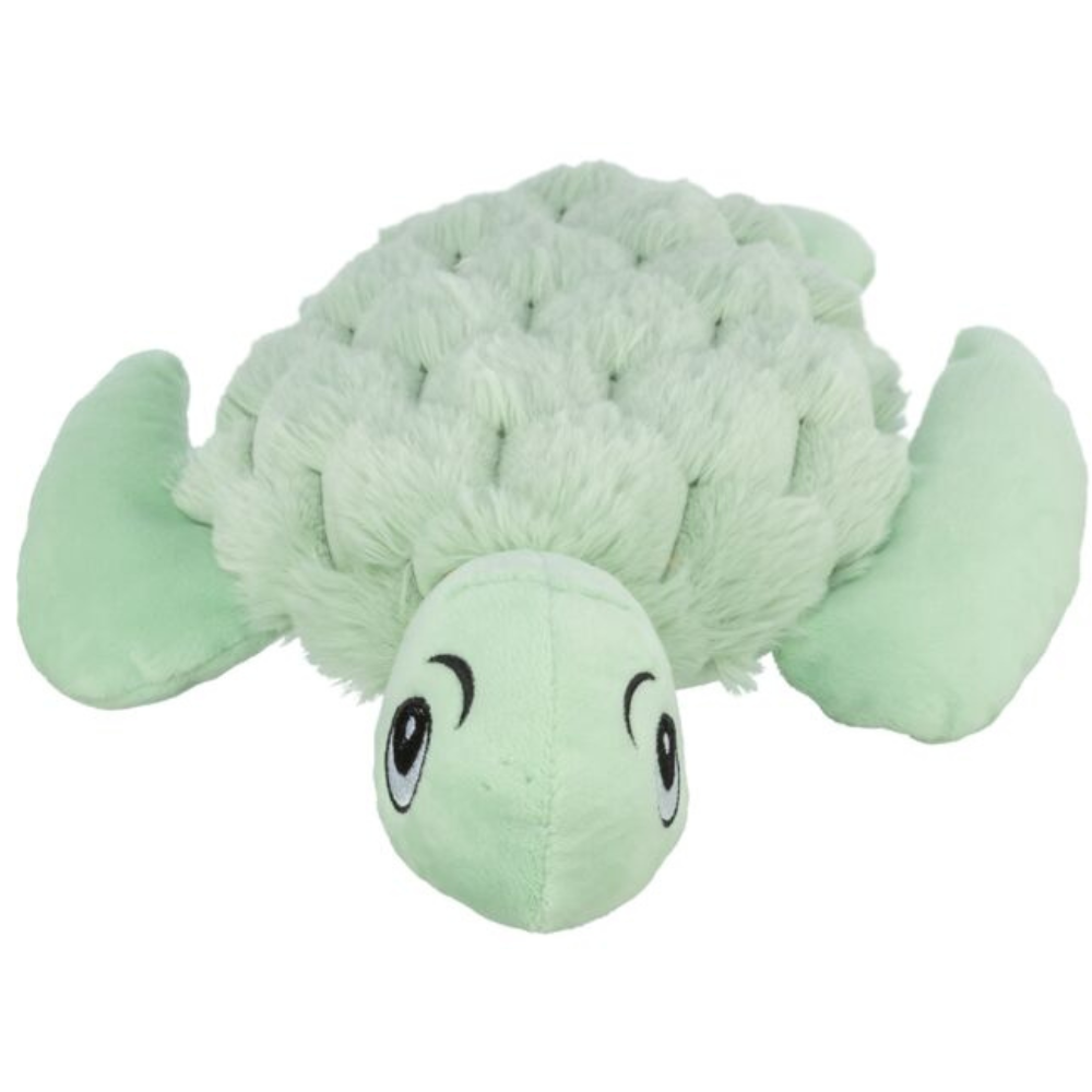 Tortue vert d’eau