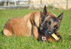 Fromage d’himalayan yak