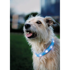 Flash blande lumineuse UBS 70cm / 30mm bleu