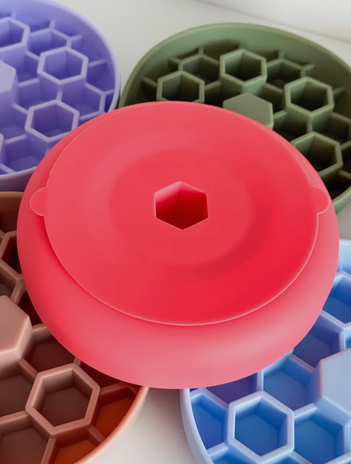 Gamelle d’enrichissement abeille 3D