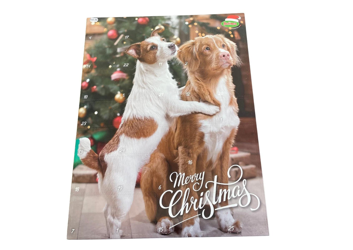 Calendrier de l’avent XXL Chien