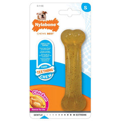 Nylabone puppy