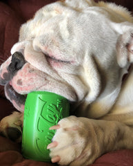 CANETTE VERTE SODAPUP