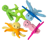 Étoile de mer kiwi Walker