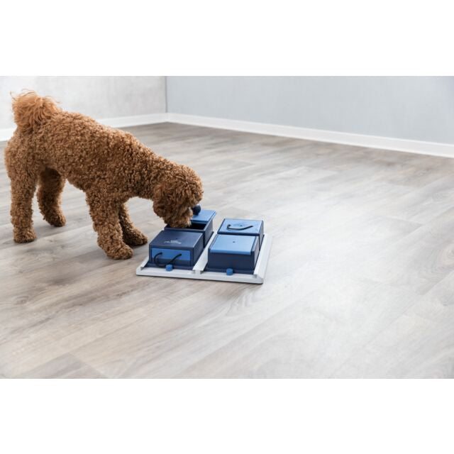DOG ACTIVITY POKER BOX 1