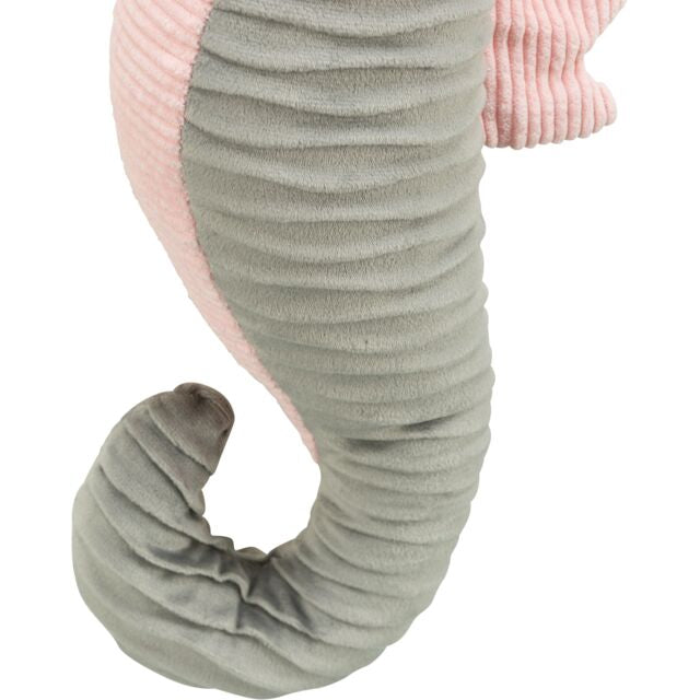 Hippocampe