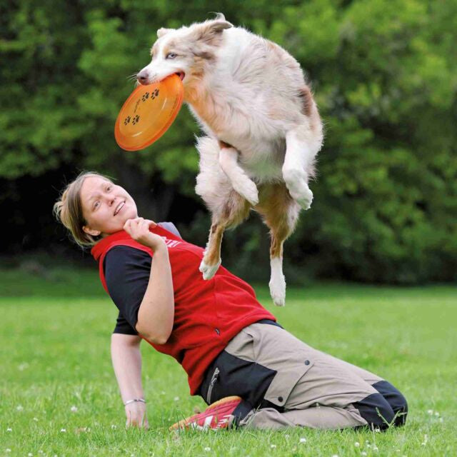 DOG DISC, APTE AU TOURNOI, EN PLASTIQUE, O 19 CM