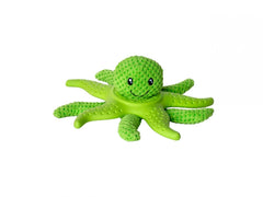 Étoile de mer kiwi Walker