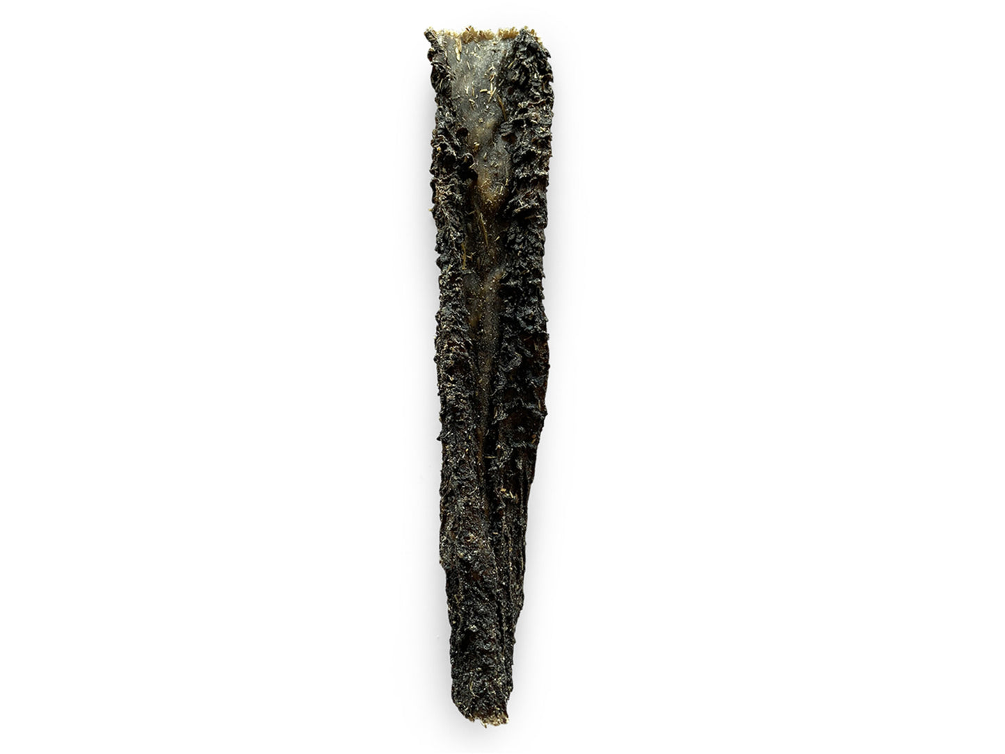 PANSE DE CHAMEAU VRAC