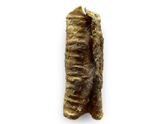 TRACHÉE DE BOEUF VRAC