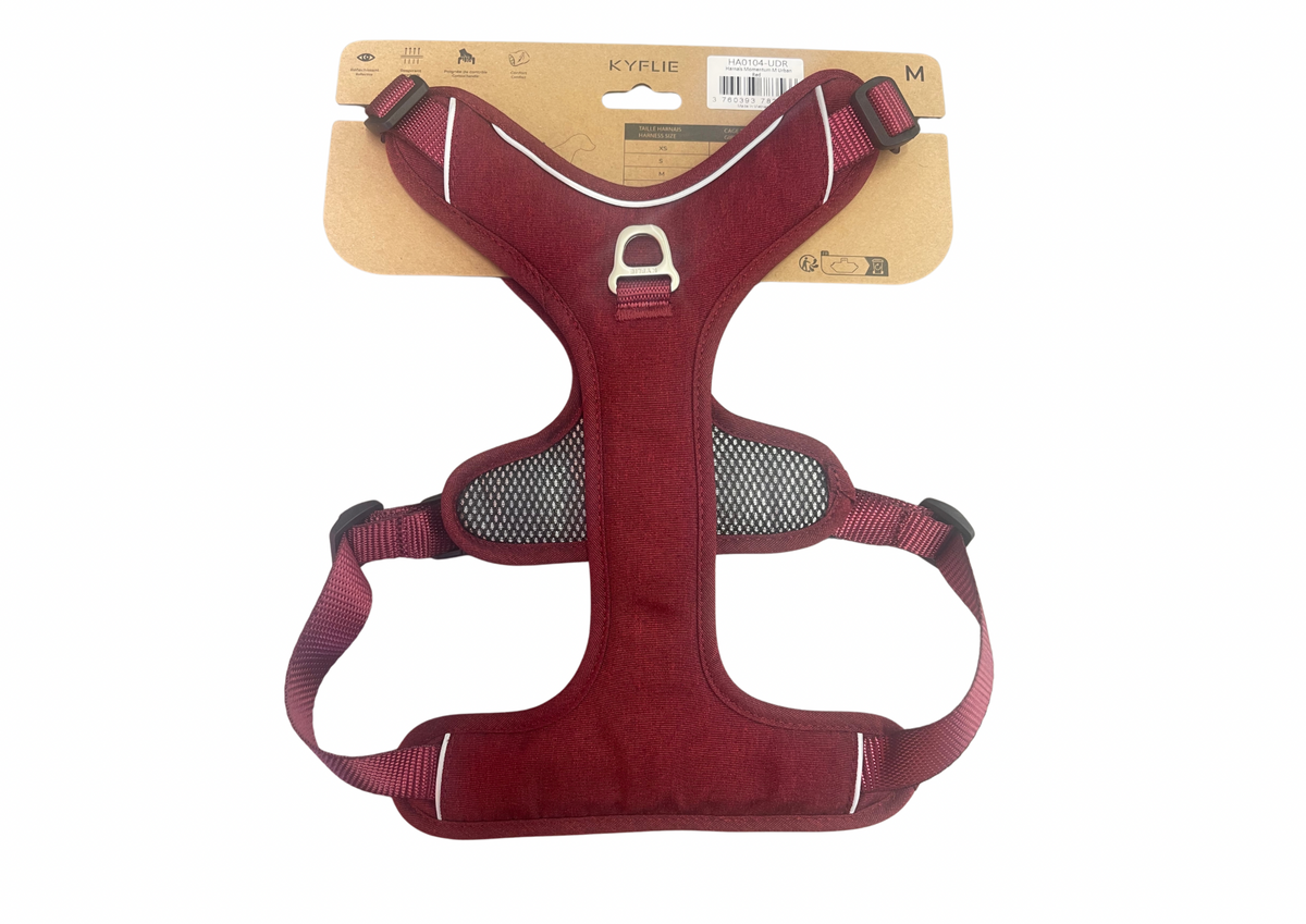 Harnais Momentum Kyflie OneShot bordeaux