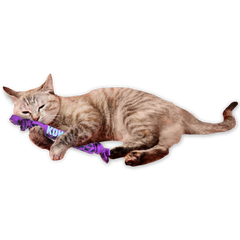 Kong kickeroo crunch