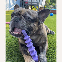 Jouet poisson nylon sodapup