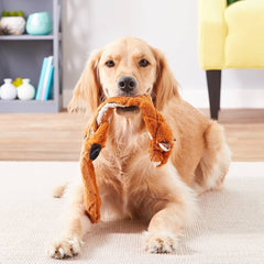 SKINNEEEZ EXTRÊME ÉCUREUIL 35cm