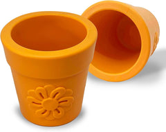 Pot de fleur orange sodapup
