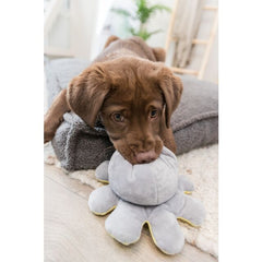 PIEUVRE RÉVERSIBLE S