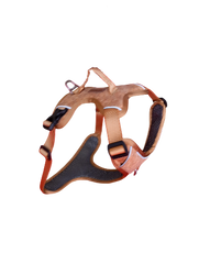 Harnais momentum liège kyflie