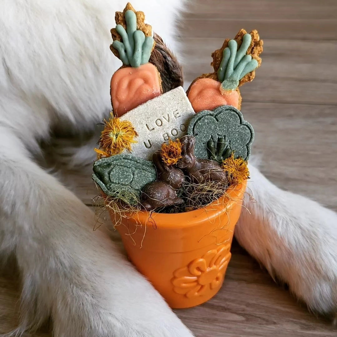 Pot de fleur orange sodapup