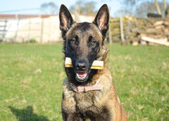 Fromage d’himalayan yak