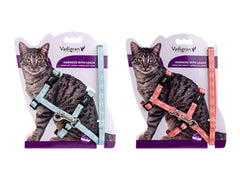 Harnais + laisse chat