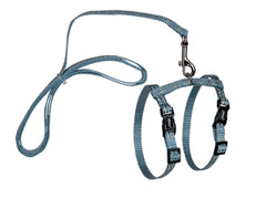 Harnais + laisse chat