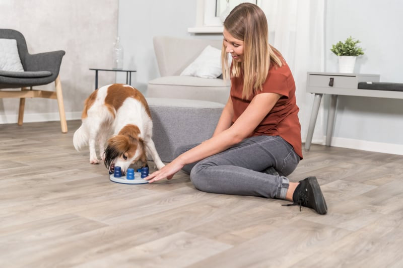 DOG ACTIVITY SOLITAIRE