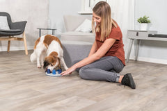 DOG ACTIVITY SOLITAIRE