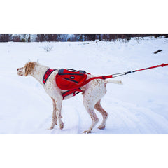 Sacoche confort trek idog