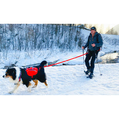 Sacoche confort trek idog