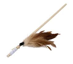 Canne à pêche plume coq