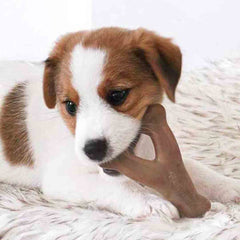 Benebone chiot bacon