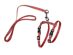 Harnais + laisse chat rose