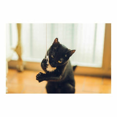 Canne à pêche naturelle pompon