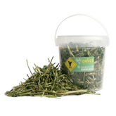 Aneth déshydratée orycs