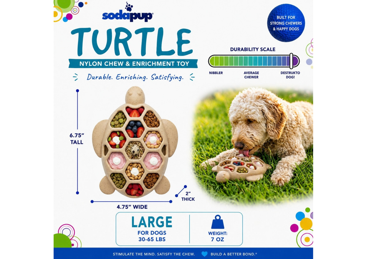 Tortue sodapup nylon