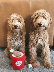 Zippy paws bucket pilons poulet