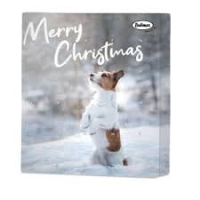 Calendrier de l’avent chien