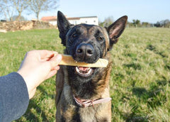 Fromage d’himalayan yak