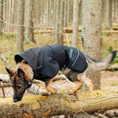 Veste thermique Windy noir 65cm