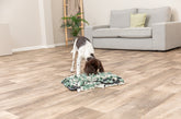 tapis de fouille sniffing carpet