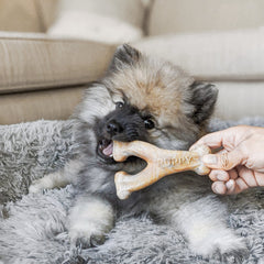 Benebone dental puppy pack