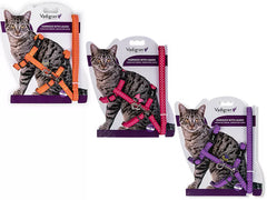 HARNAIS + LAISSE CHAT