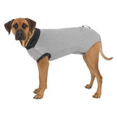 BODY DE PROTECTION CHIEN