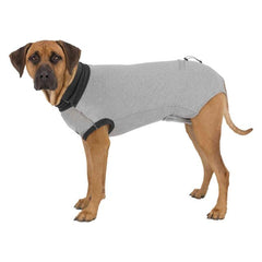 BODY DE PROTECTION CHIEN