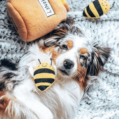 POT DE MIEL ZIPPY PAWS