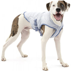 GILET RAFRAICHISSANT