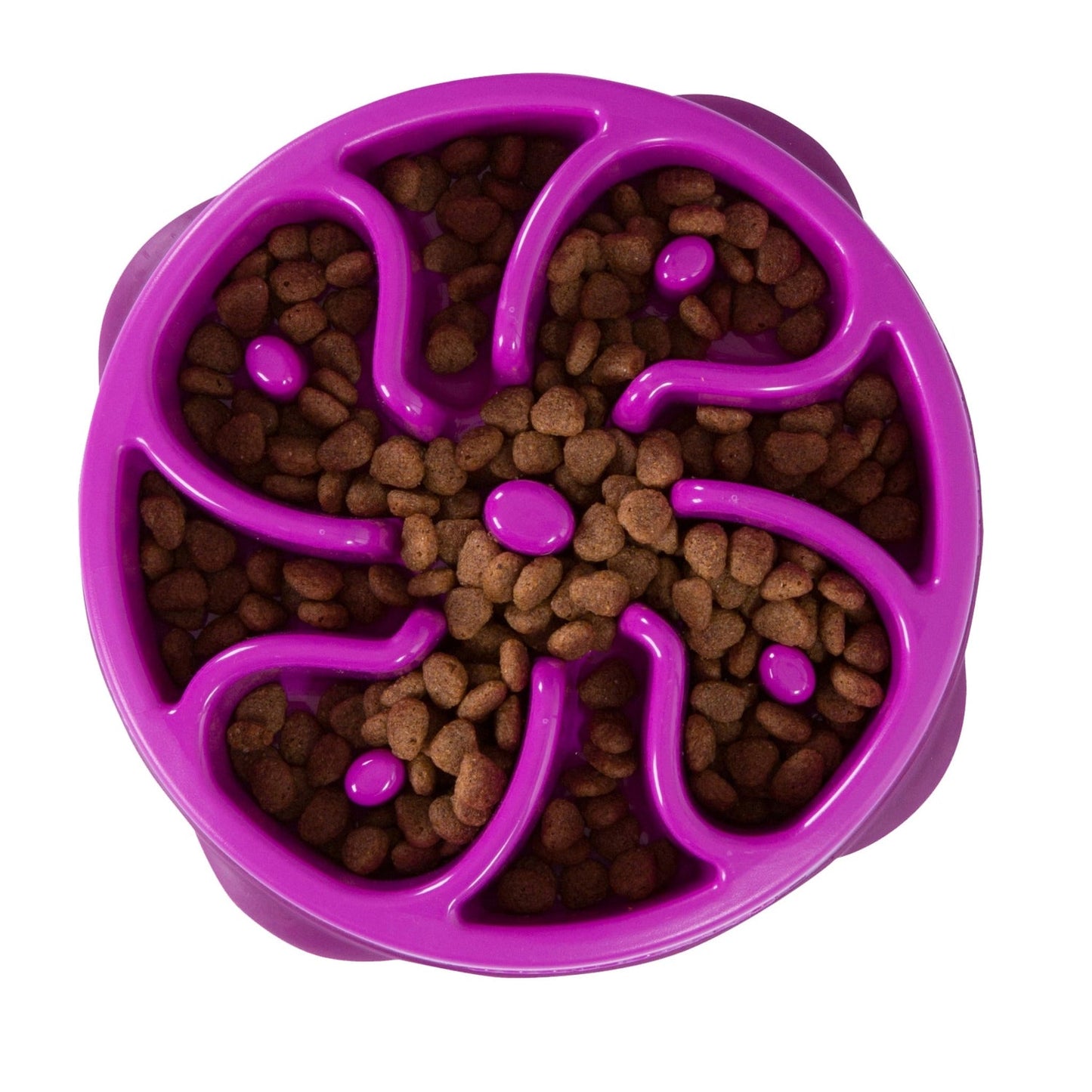 FUN FEEDER POURPRE