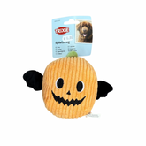 Citrouille chauve-souris